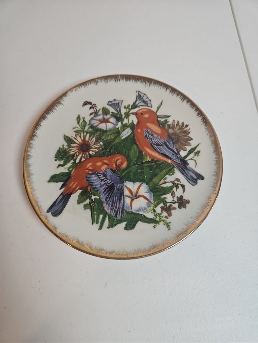 Vintage Porcelain Decorative Plate Hand Painted Mid Century Birds Japan 4T2825